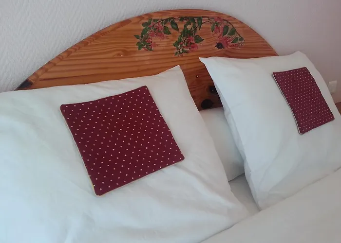 Bed & Breakfast D'hotes Au Grillon Dort 3*